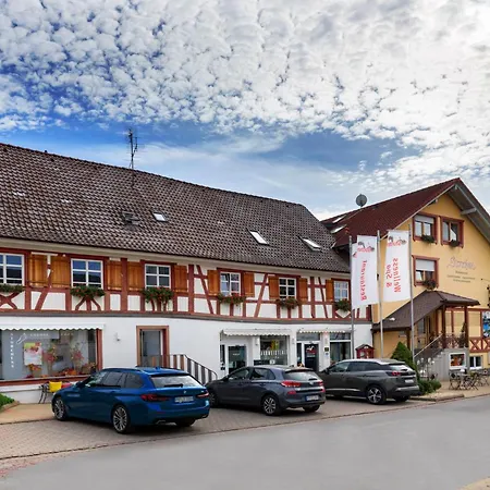 Hotel Bodensee Storchen