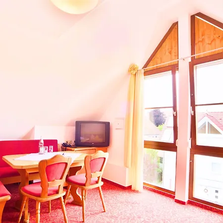 Отель Bodensee Storchen