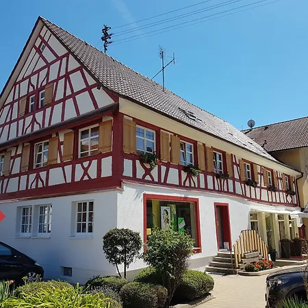 酒店 Bodensee Storchen 3*