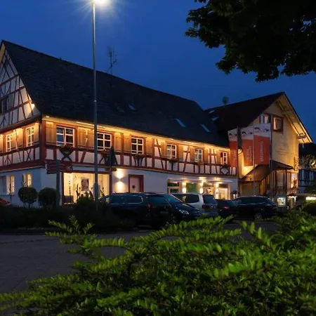 Bodensee Storchen Uhldingen-Muehlhofen