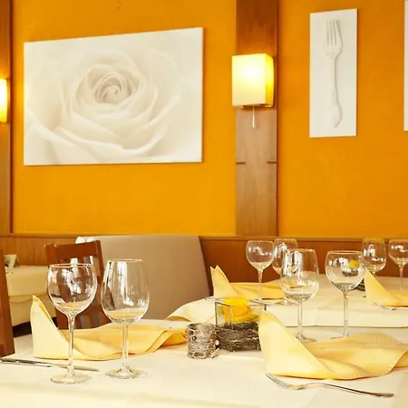 فندق Bodensee Storchen 3*