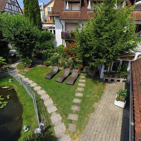 Bodensee Storchen