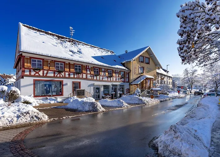 Bodensee Storchen Hotel