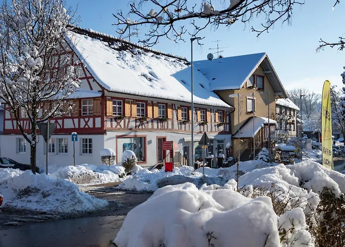 Bodensee Storchen 3* Uhldingen-Mühlhofen