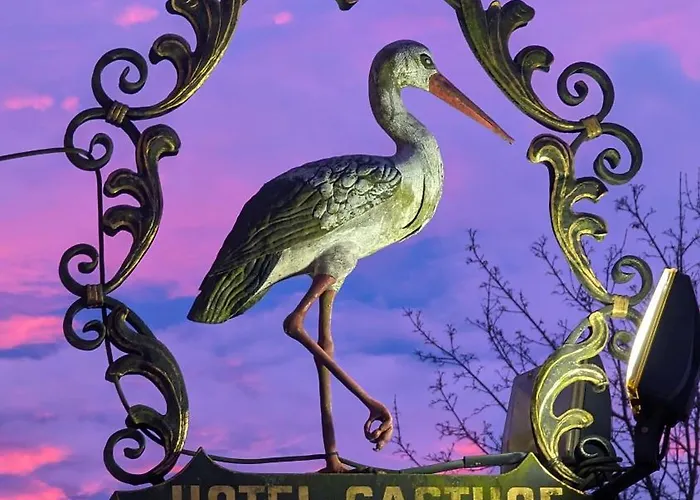 Hotel Bodensee Storchen 3*