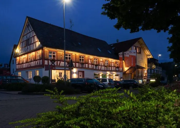 Bodensee Storchen Uhldingen-Mühlhofen